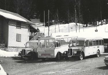 20230821-17-links-rechts-die 1.-Schnauzer-Mitte-FBW-Frontlenker