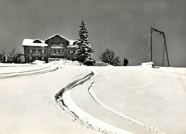 20250204-Rob-Laan (3) - Kopie