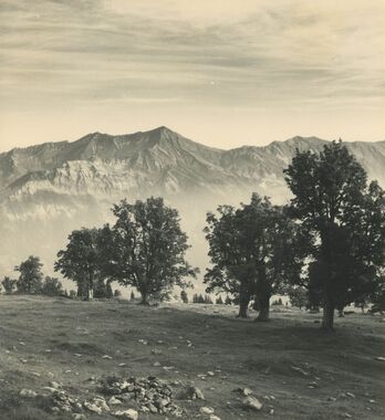 20250602-01-Rösti-Hansueli-Axalp-1952