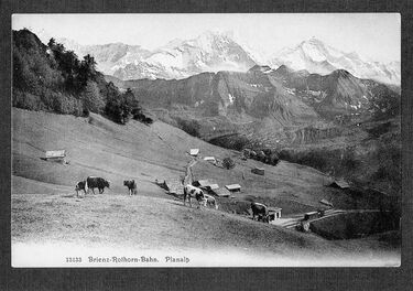 20210608-85-Planalp-ca.1908_web