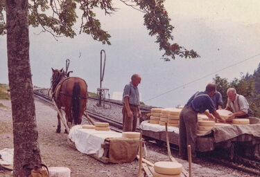 20230821-Trudy-Steiner-73-Planalp-Sommer-1964