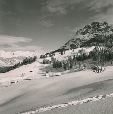 20260128-02-Mäder-Bruno