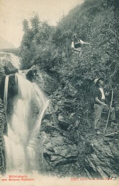 20210525-05-Mühlebach-Planalp-19072507