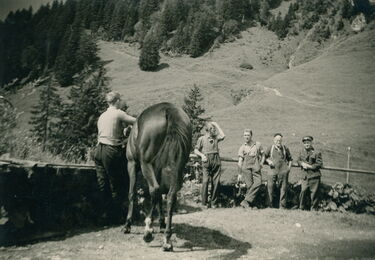 20211116-03-Brunnen-Planalp-Pferd_web