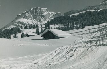 20260121-04-Mäder-Bruno