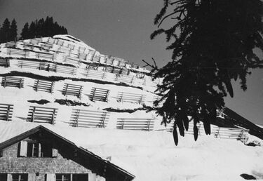  20230608-31-Ruth-Abplanalp