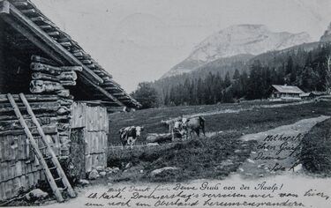 20251107-37-Rob-Laan-19040727