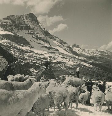 20240815-117-Ernst-Walthard-31.08.1969