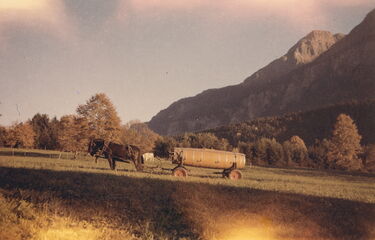 xxxxxxxx_0019_Brienz_Neues Pschitifass von Michel Jost_web